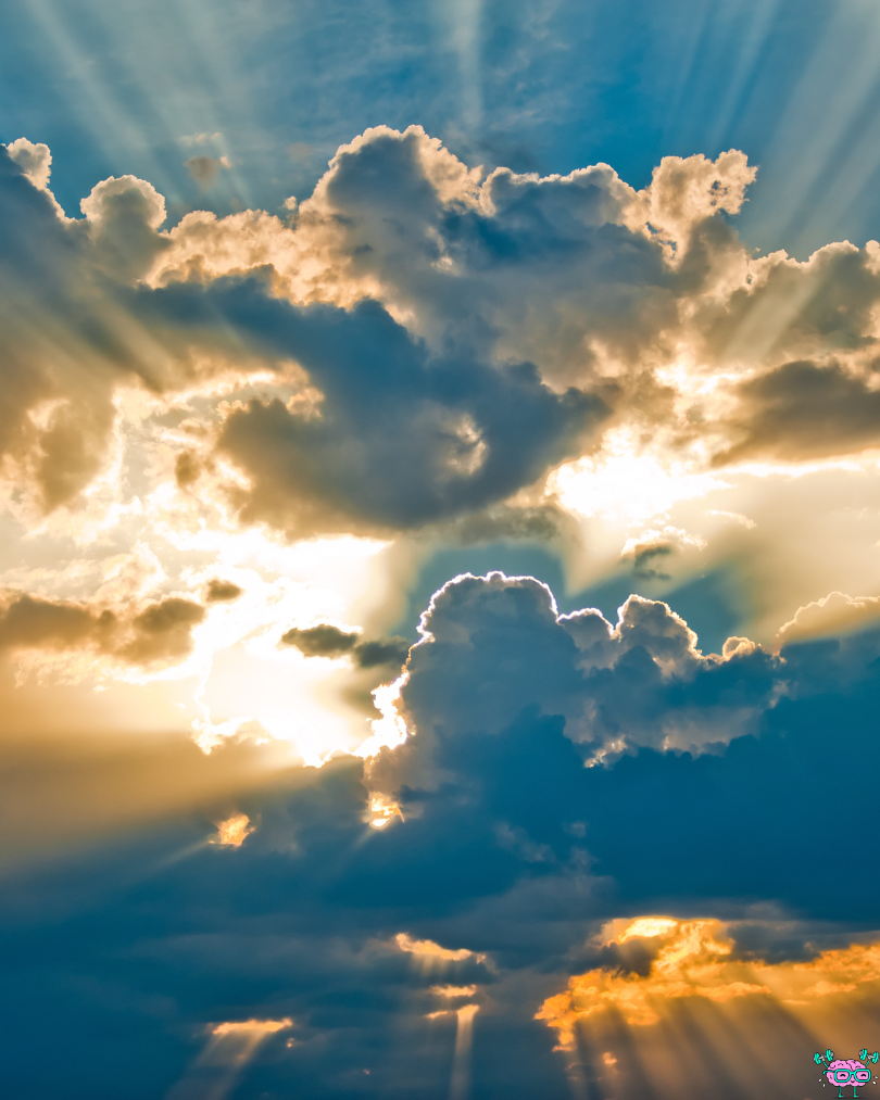 Citation du jour n°63