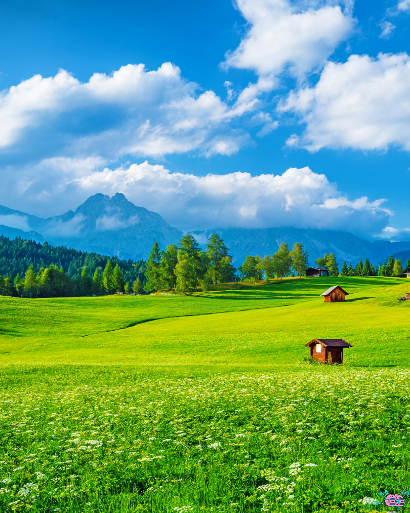 Citation du jour n°64