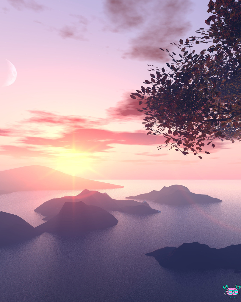 Citation du jour n°19