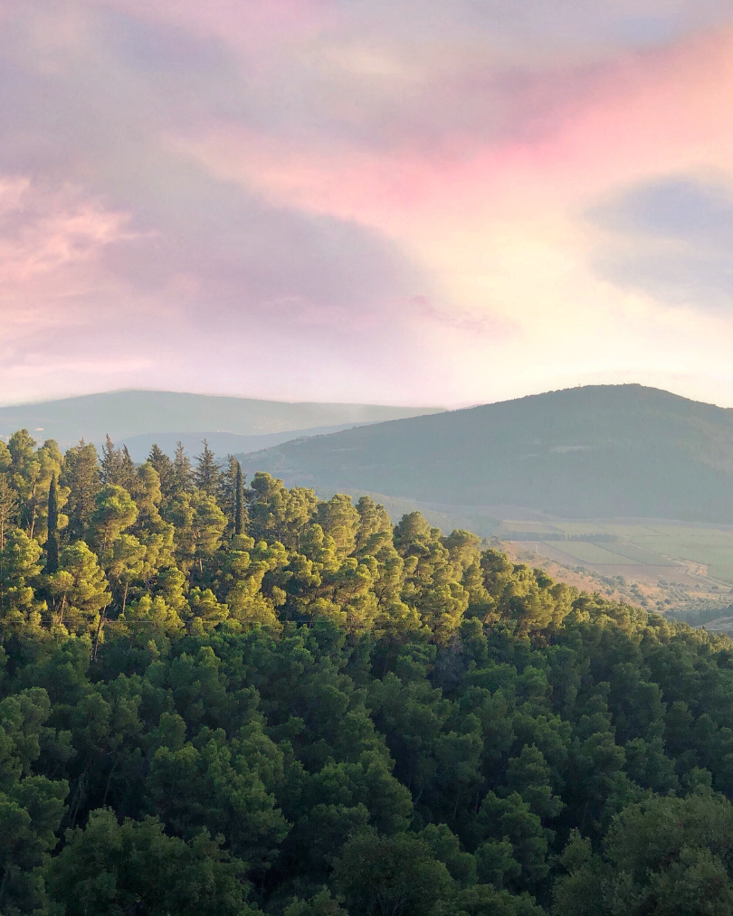 Citation du jour n°24