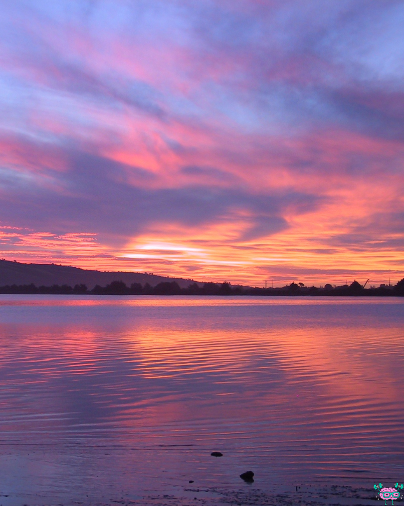 Citation du jour n°25