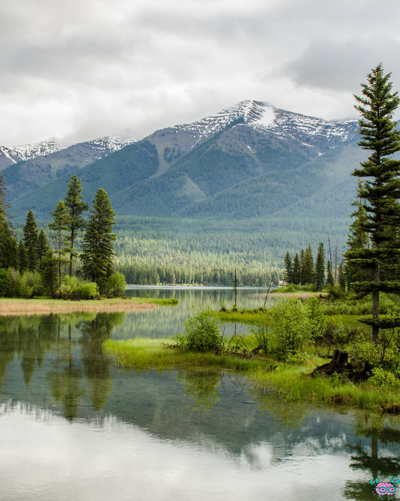 Citation du jour n°26